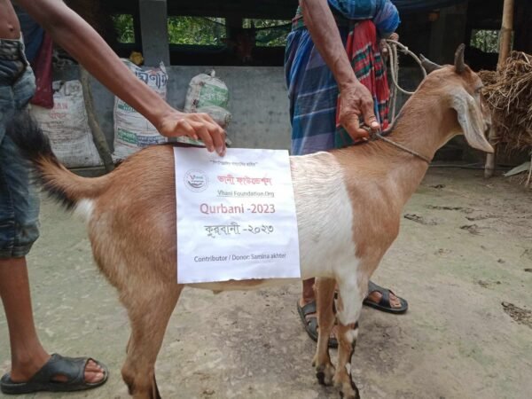 Goat Qurbani