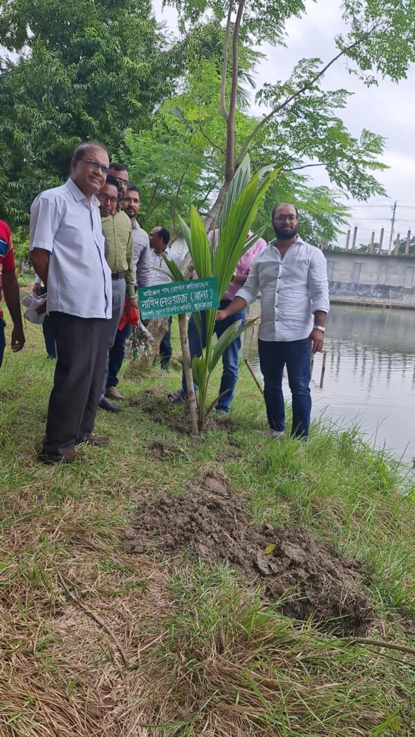 One Tree plantation